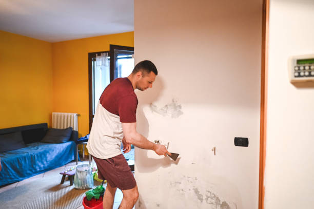 Best DIY Mold Remediation Support Services in Corinth, MS